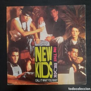 Dischi in vinile: New Kids On The Block – Call It What You Want. 1991, España. Vinilo, 7”, Single Sided, Promo